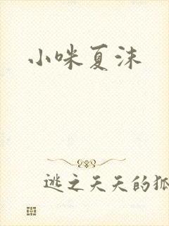 小咪夏沫封面