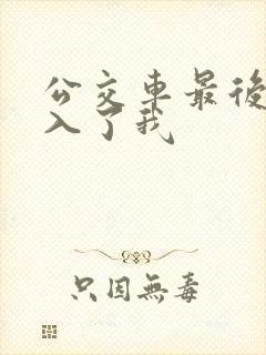 公交车最后一排入了我