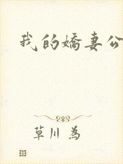 我的娇妻公务员