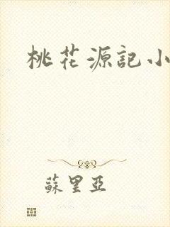 桃花源记小说