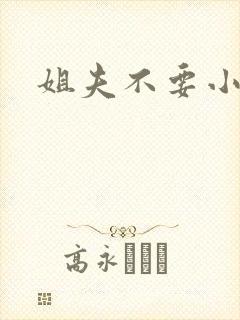 姐夫不要小说