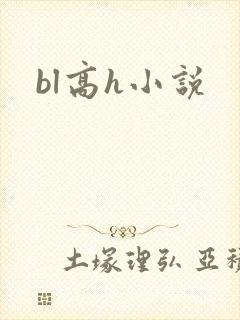 bl高h小说
