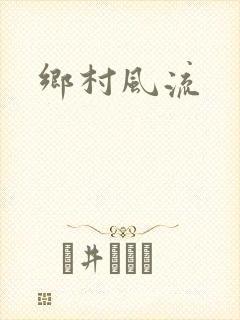 乡村风流封面