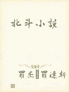 北斗小说封面