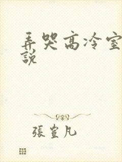弄哭高冷室友小说