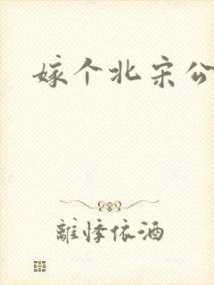嫁个北宋公务员封面