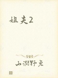姐夫2
