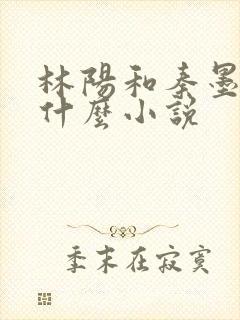 林阳和秦墨浓是什么小说封面