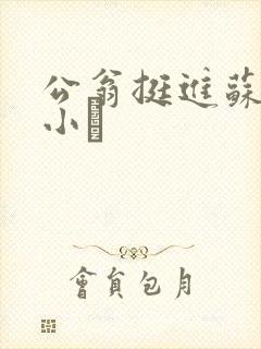 公翁挺进苏玥的小泬