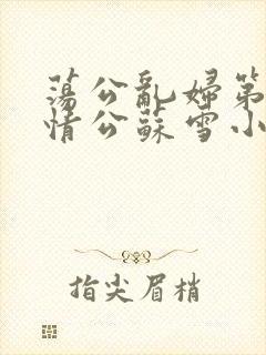 荡公乱妇第1章情公苏雪小说封面