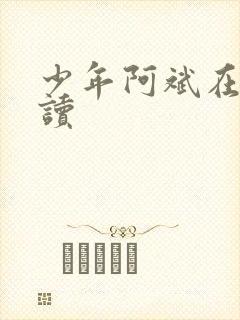 少年阿斌在线阅读