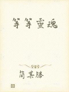 等等灵魂封面