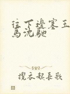 往下边塞玉器骑马沈驰封面