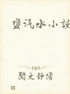 盐汽水小说