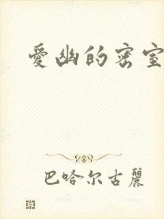 爱幽的密室小说
