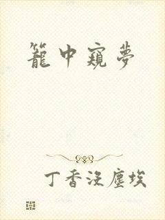 笼中窥梦