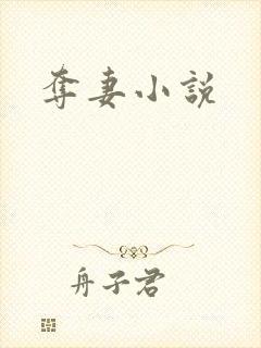 夺妻小说