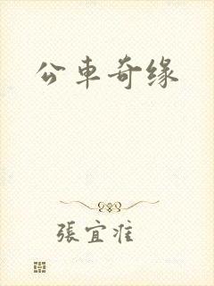 公车奇缘