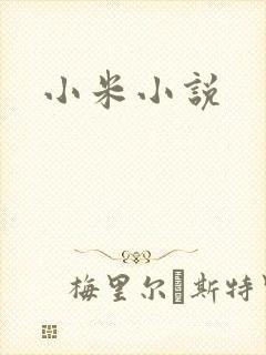 小米小说封面