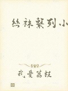 丝袜系列小说