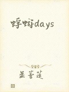 蜉蝣days封面