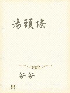 汤头条