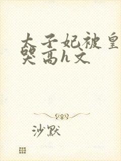 太子妃被皇上c哭高h文