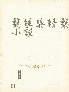 系统集精系统 小说