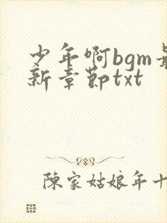 少年啊bgm最新章节txt封面