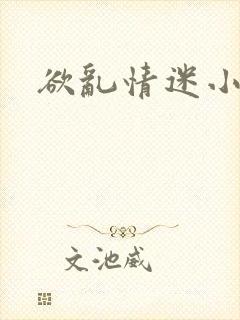 欲乱情迷小说