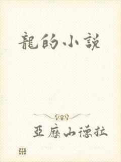 龙的小说