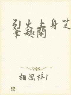 引火上身芝麻糖笔趣阁