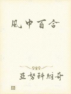 风中百合