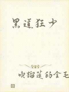 黑道狂少