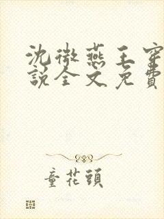 沈微燕王穿越小说全文免费阅读