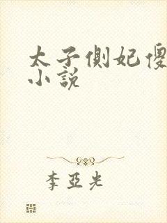 太子侧妃傻乎乎小说封面