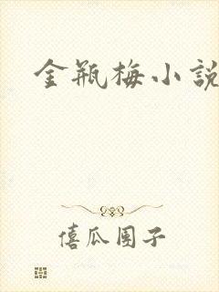 金瓶梅小说下载