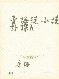 青梅从小摸到大补课h