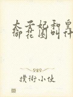太子妃和皇帝在御花园叫什么小说封面
