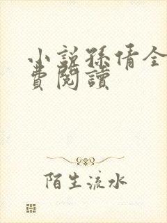 小说孙倩全文免费阅读