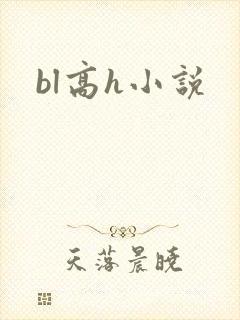 bl高h小说