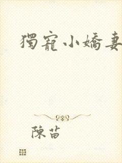 独宠小娇妻封面