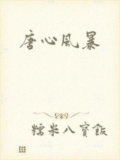 唐心风暴