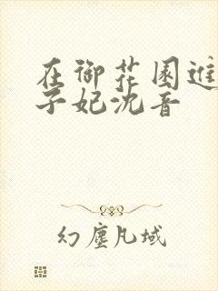 在御花园进入太子妃沈音