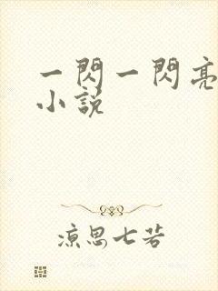 一闪一闪亮星星小说封面