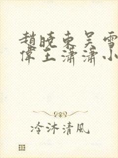 赵晓东吴雪晴郑伟王潇潇小说