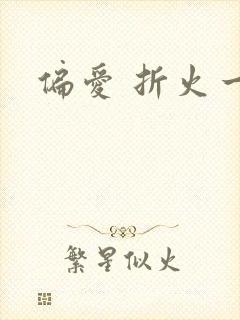 偏爱 折火一夏封面