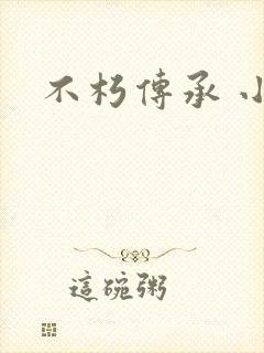 不朽传承 小说