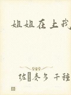姐姐在上我在下封面