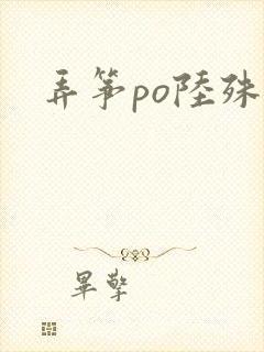 弄筝po陆殊词封面
